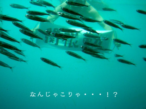 e996a2e6a0b9e58ba4e38390e3838ae383bc