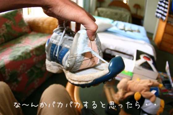 e38390e382abe382b4e383abe38395e382b7e383a5e383bce382ba1