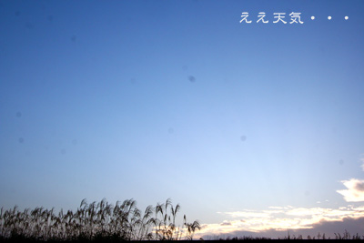 e38188e38188e5a4a9e6b097