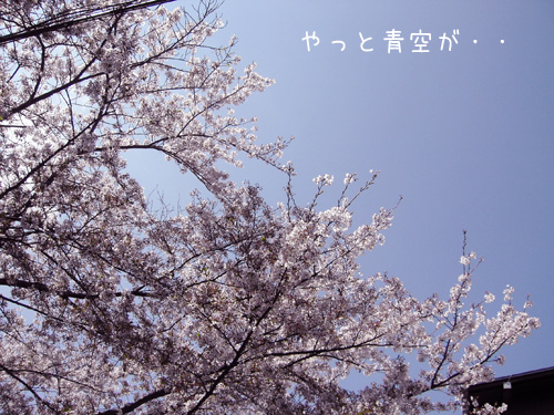 e6a19ce381a8e99d92e7a9ba
