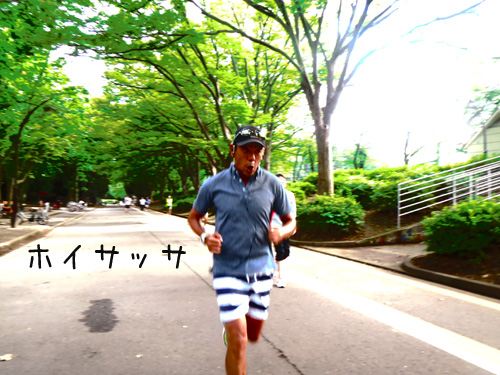 ラン8/30