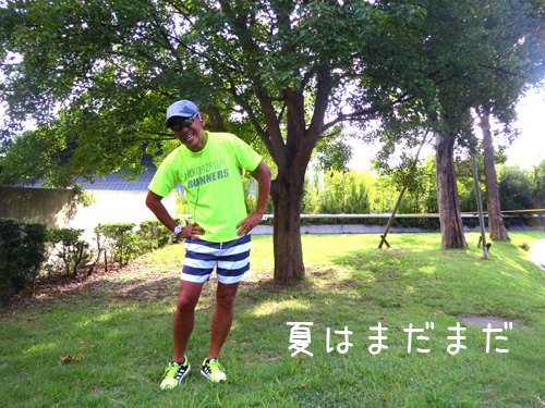 夏まだまだ