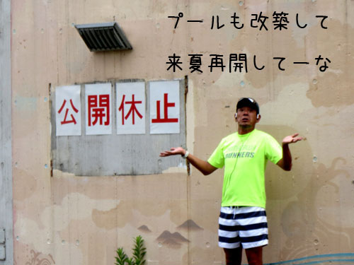 こまぷー