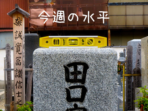 水平9/2