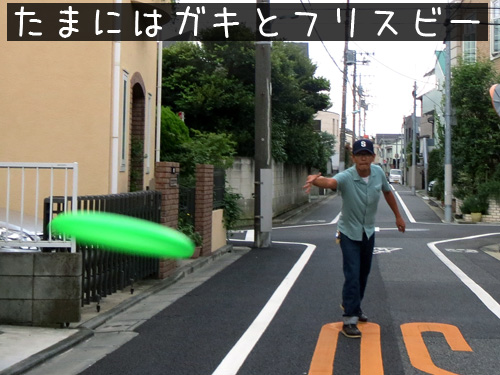 たまにはフリスビー