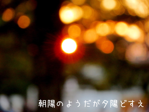 夕陽