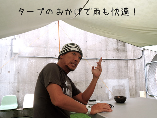 タープ