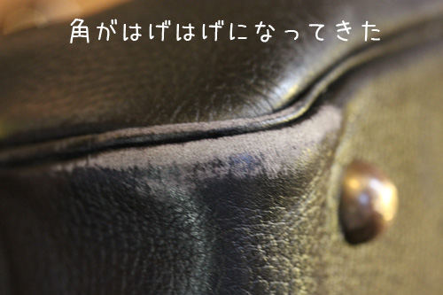 エルメスはげはげ