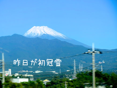 初冠雪