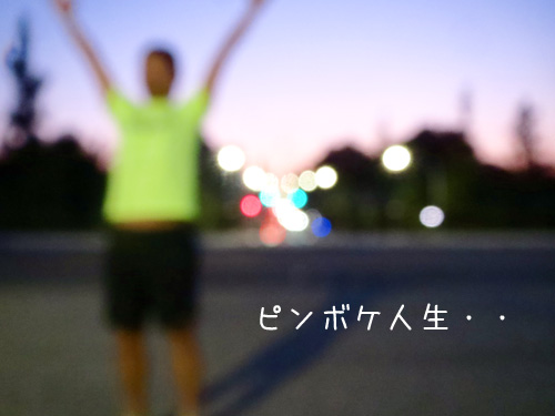 ピンボケ人生