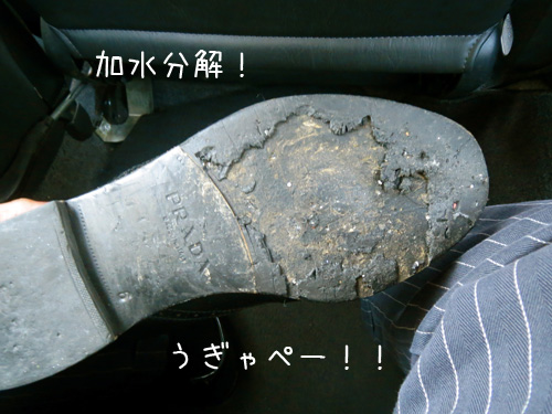 プラダ加水分解