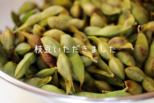 枝豆いただき