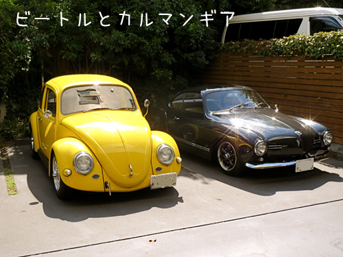 VWS
