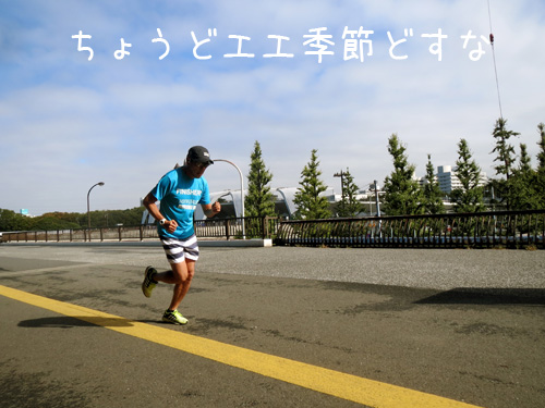 丁度エエ季節
