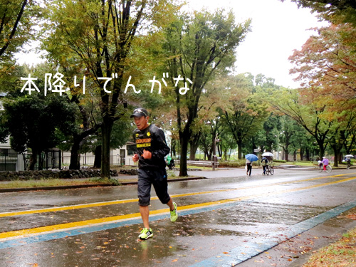 本降り