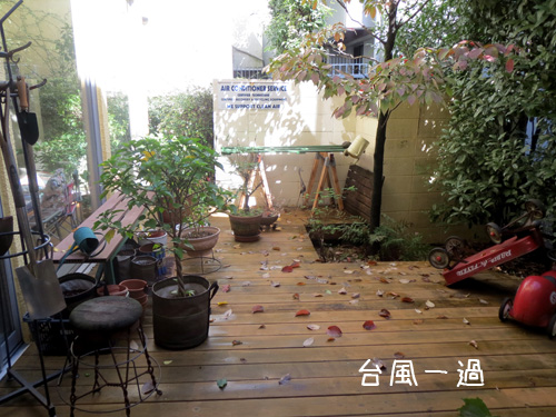 台風一過