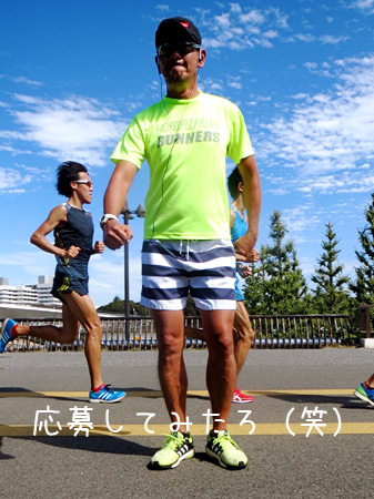 応募