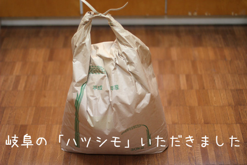 ハツシモ