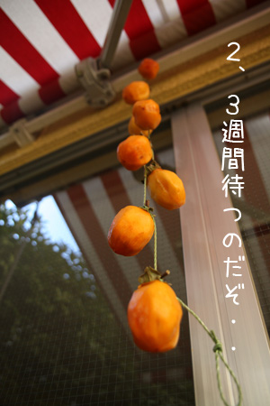干し柿吊るし