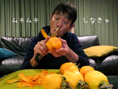 柿むきむき