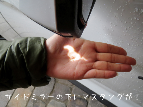 マスタングライト