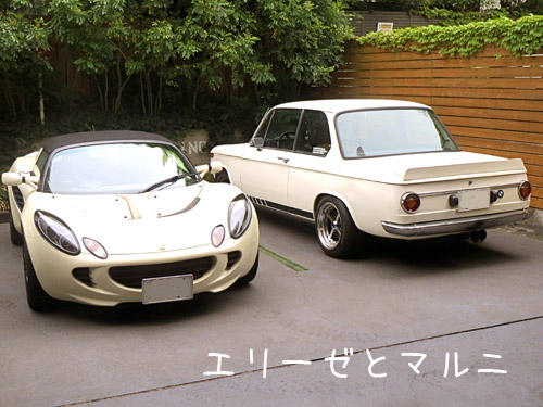 エリーゼとマルニ