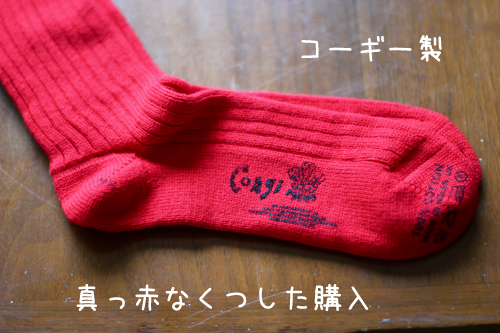 コーギー