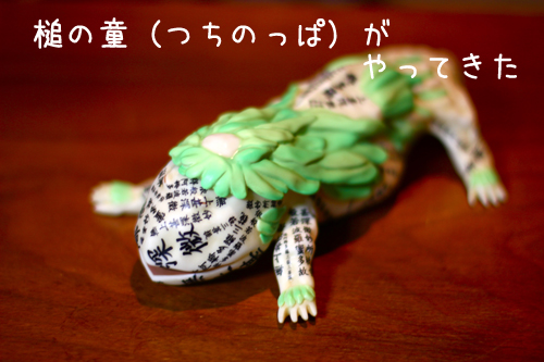 つちのっぱ