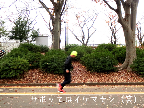 さぼって