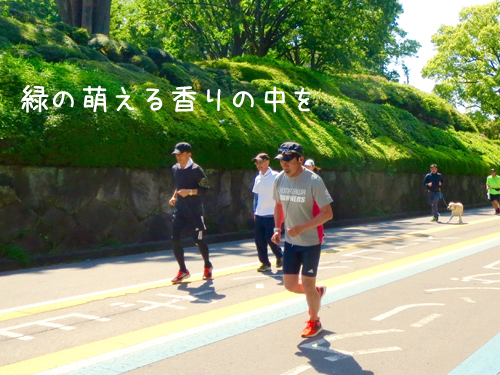 ラン