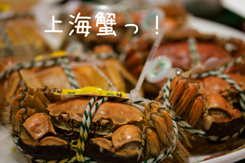 上海蟹