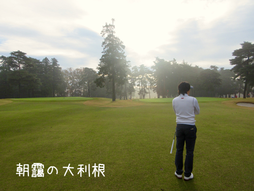 朝靄